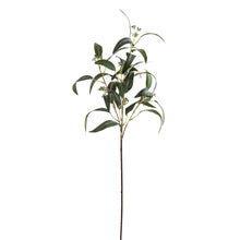 Load image into Gallery viewer, Seeded Eucalyptus Spray in GREEN Hill Interiors 22175 5050140217580 Dimensions: 86cm x 10cm x 10cm Weight: 0.05kg Volume: 0.3CBM