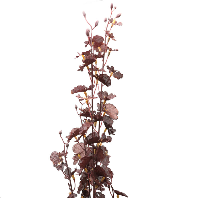 Deep Purple Dancing Orchid Stem in PURPLE Hill Interiors 22190 5050140219089 Dimensions: 90cm x 22cm x 22cm Weight: 0.041kg Volume: 0.26CBM This is the Deep Purple Dancing Orchid Stem. A deep, rich, purple faux floral that will elegantly elevate any floral arrangement. Perfect for adding both height and a rich, warm tone to an arrangement.