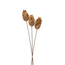 Load image into Gallery viewer, Bouquet Of Dried Protea Hill Interiors 22205 5050140220580 Dimensions: 60cm x 12cm x 12cm Weight: 0.102kg Volume: 0.37CBM