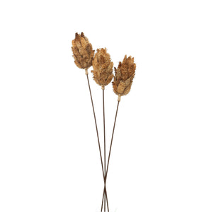 Bouquet Of Dried Protea Hill Interiors 22205 5050140220580 Dimensions: 60cm x 12cm x 12cm Weight: 0.102kg Volume: 0.37CBM
