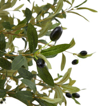Load image into Gallery viewer, Calabria Small Olive Tree in GREEN Hill Interiors 23080 5050140308080 White glove delivery Dimensions: 100cm x 17cm x 17cm Weight: 2.6kg Volume: 0.07CBM This is the Calabria Small Olive Tree. One of our trio of realistic new olive trees. It is the perfect option for bringing the outdoors in. Why not check out the two larger sizes of this item too. Display this item in our new rattan baskets (also available in 3 sizes) to add further natural texture to a space. Every detail of this faux tree has been produce