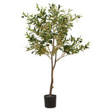 Load image into Gallery viewer, Calabria Small Olive Tree in GREEN Hill Interiors 23080 5050140308080 White glove delivery Dimensions: 100cm x 17cm x 17cm Weight: 2.6kg Volume: 0.07CBM This is the Calabria Small Olive Tree. One of our trio of realistic new olive trees. It is the perfect option for bringing the outdoors in. Why not check out the two larger sizes of this item too. Display this item in our new rattan baskets (also available in 3 sizes) to add further natural texture to a space. Every detail of this faux tree has been produce