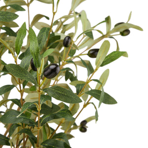 Calabria Large Olive Tree in GREEN Hill Interiors 23081 5050140308189 White glove delivery Dimensions: 180cm x 17cm x 17cm Weight: 5kg Volume: 0.22CBM This is the Calabria Large Olive Tree. One of our trio of realistic new olive trees. It is the perfect option for bringing the outdoors in. Why not check out the two smaller sizes of this item too. Display this item in our new rattan baskets (also available in 3 sizes) to add further natural texture to a space. Every detail of this faux tree has been produced