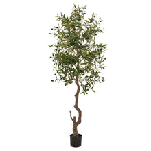 Load image into Gallery viewer, Calabria Large Olive Tree in GREEN Hill Interiors 23081 5050140308189 White glove delivery Dimensions: 180cm x 17cm x 17cm Weight: 5kg Volume: 0.22CBM This is the Calabria Large Olive Tree. One of our trio of realistic new olive trees. It is the perfect option for bringing the outdoors in. Why not check out the two smaller sizes of this item too. Display this item in our new rattan baskets (also available in 3 sizes) to add further natural texture to a space. Every detail of this faux tree has been produced