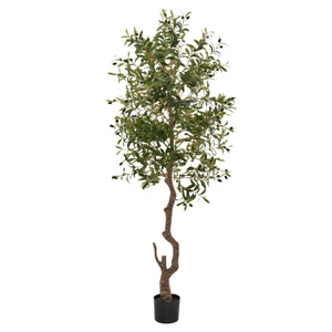 Calabria Large Olive Tree in GREEN Hill Interiors 23081 5050140308189 White glove delivery Dimensions: 180cm x 17cm x 17cm Weight: 5kg Volume: 0.22CBM This is the Calabria Large Olive Tree. One of our trio of realistic new olive trees. It is the perfect option for bringing the outdoors in. Why not check out the two smaller sizes of this item too. Display this item in our new rattan baskets (also available in 3 sizes) to add further natural texture to a space. Every detail of this faux tree has been produced