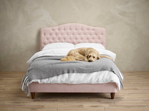 Sorrento Double Bed Pink LPD SORENPINK4.6* 5036464065298 Colour: Pink Dimensions: 1210mm x 1590mm x 2115mm The Sorrento sets an elegant tone to any bedroom by using its soft, undulating headboard. This Manufactured with a traditional design and using upholstered pink Chenille fabric or silver velvet, this design will look gorgeous against any décor or background.